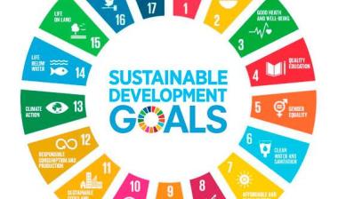 IMO Wheel SDGs